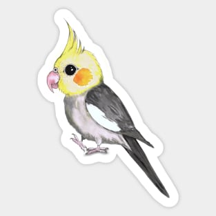 Very cute cockatiel Sticker